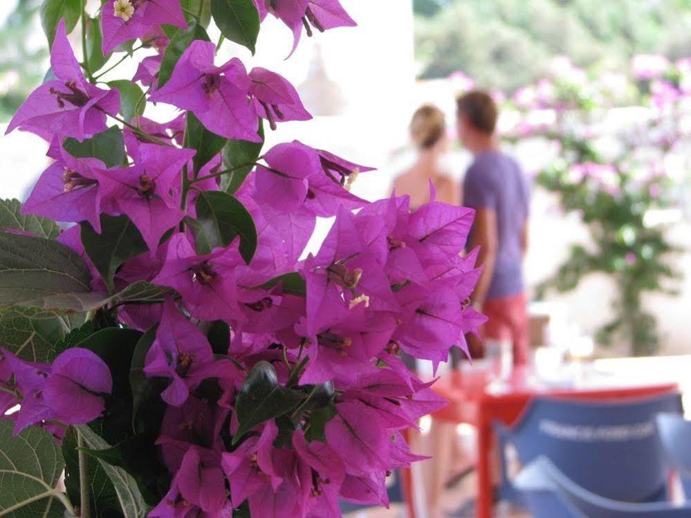 Cosmos Grand Hostal Sant Francesc de s'Estany Eksteriør bilde